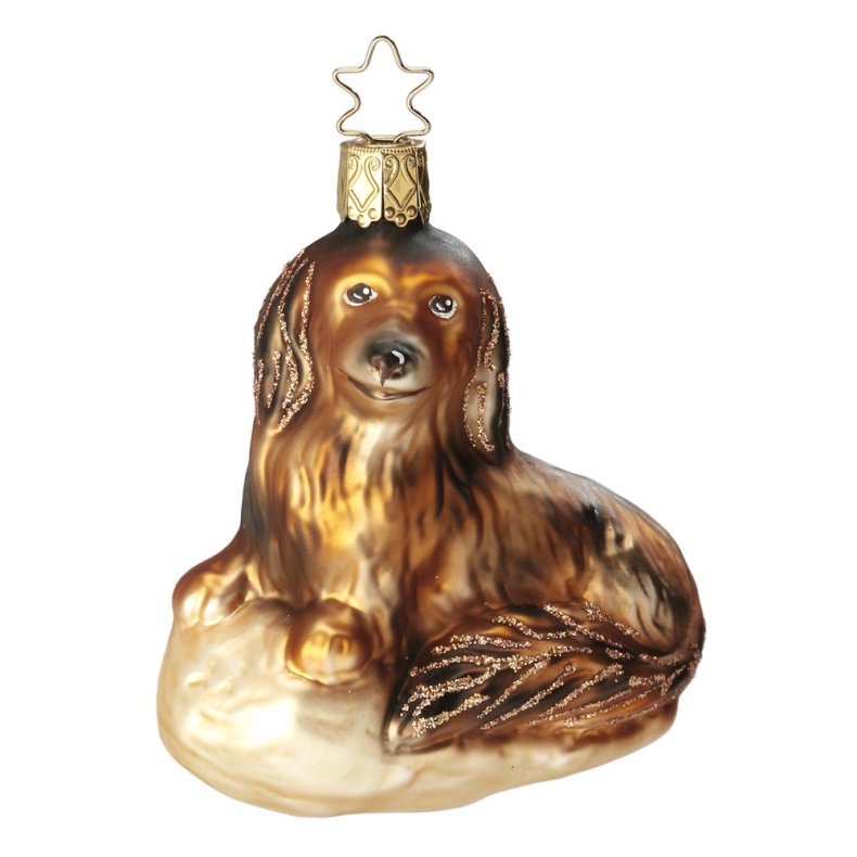 Gravhund