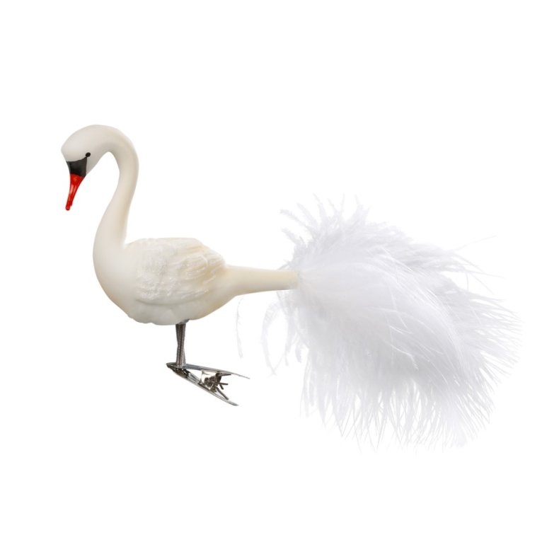 Svane