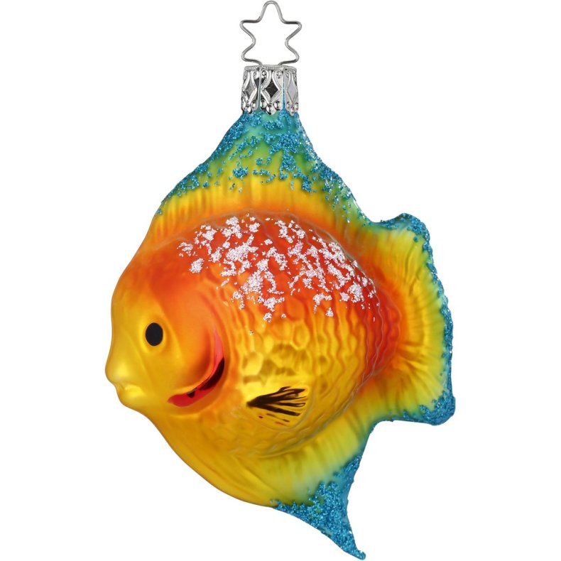 Fisk